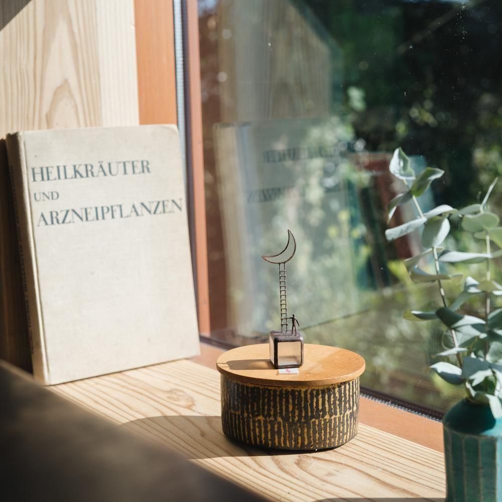 (2025ǯ11)1Ρ cacoҤȿͤΥ֥C7