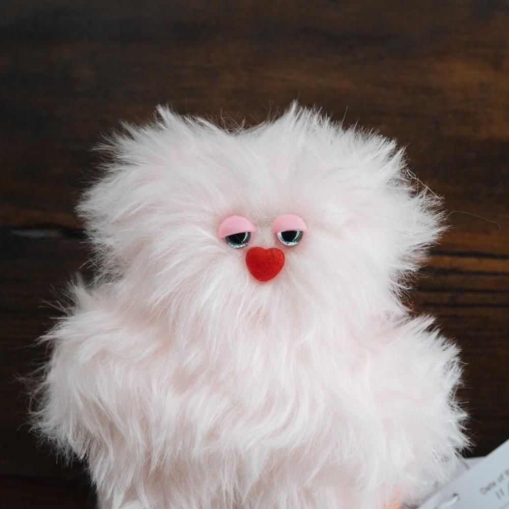 ¤(2025ǯ11)1ΡۡmojojojoTodd friends5