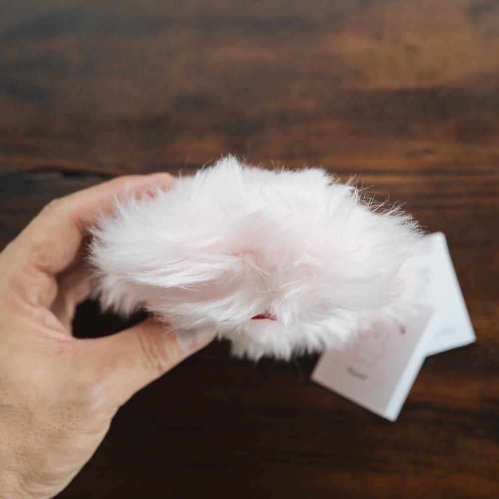 ¤(2025ǯ11)1ΡۡmojojojoTodd friends5