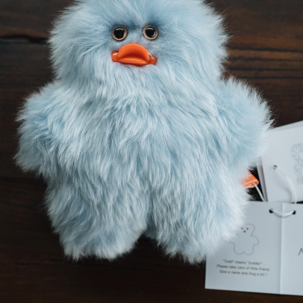 ¤(2025ǯ11)1ΡۡmojojojoTodd friends6