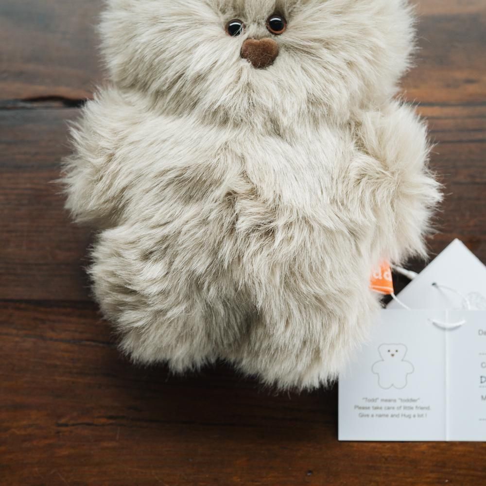 ¤(2025ǯ11)1ΡۡmojojojoTodd friends9