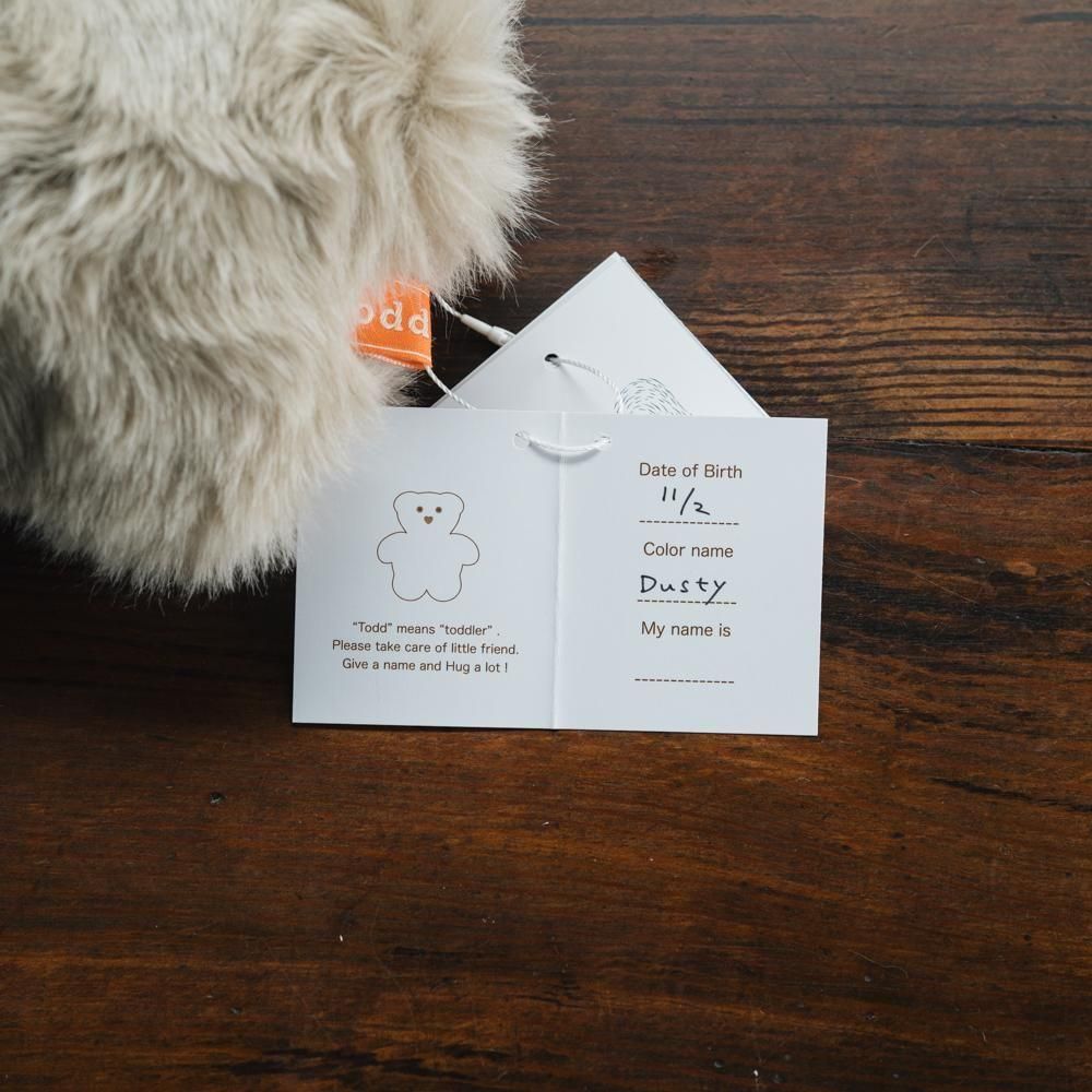 ¤(2025ǯ11)1ΡۡmojojojoTodd friends9