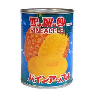 TNOѥ󥹥饤10 340g