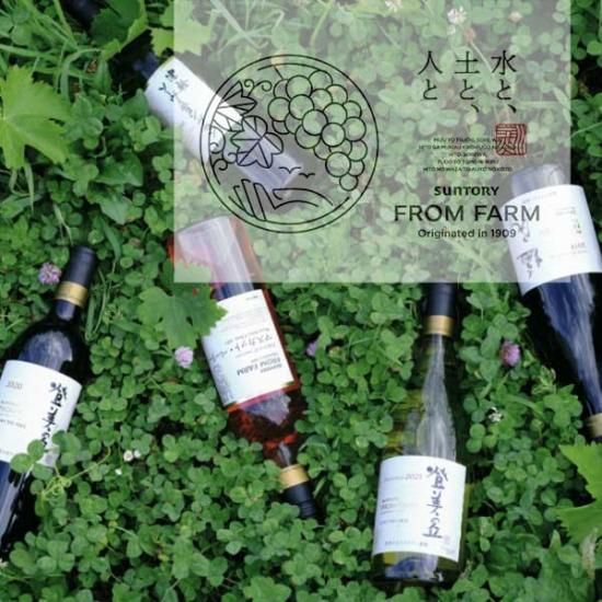 SUNTORY FROM FARM マスカット・ベリーA ロゼ 12本入 サントリー フロムファーム 日本の新酒 2023 マスカット
