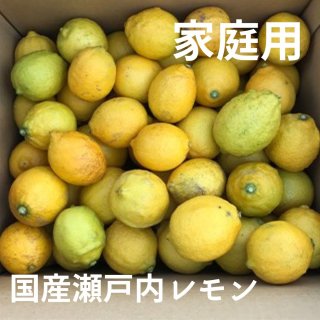 家庭用 瀬戸内産国産レモン S〜2Lサイズ 【2�・5�・10�】