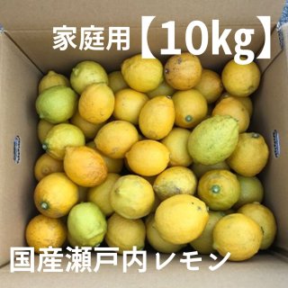 【10�/S〜2L】家庭用「瀬戸内産国産レモン」