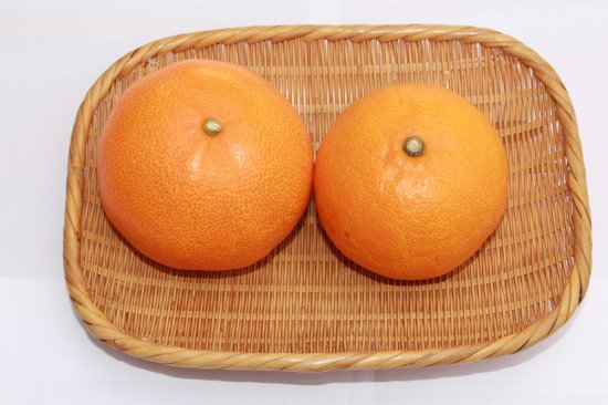愛媛県産　せとか　柑橘　　10kg