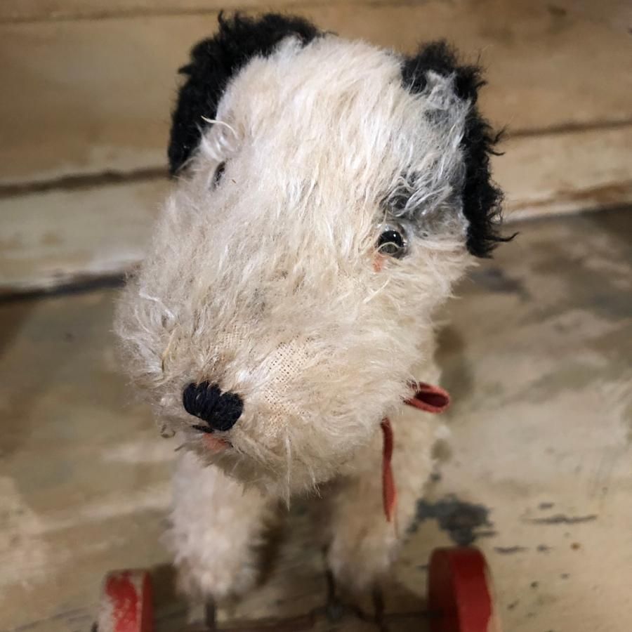 アンティーク DOG - アンティークとテディベアの店 Parade