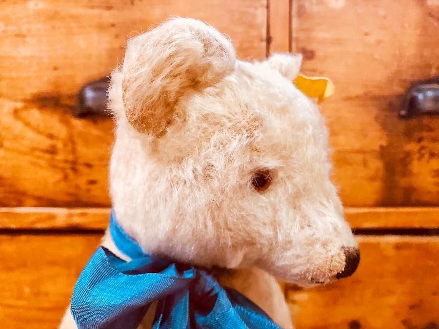 アンティークテディベア シュタイフ steiff ドイツ 20190919