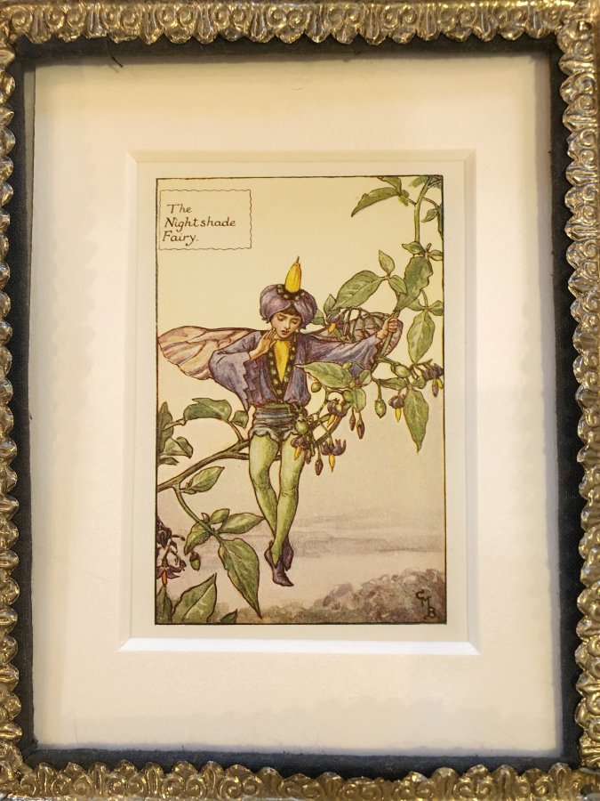夏の花の妖精　1925