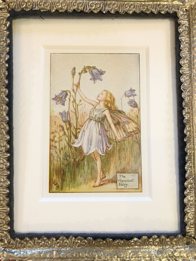 夏の花の妖精　1925
