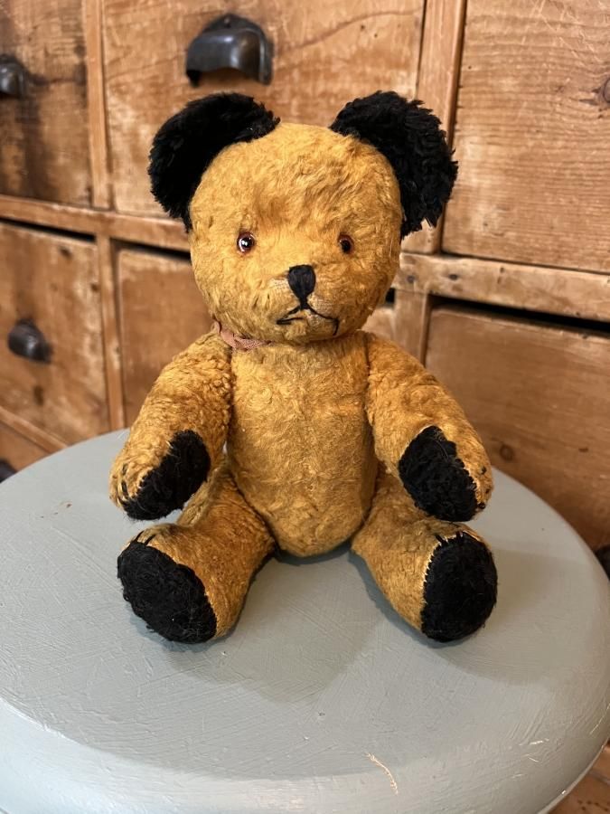 スーティー Sooty - アンティークとテディベアの店 Parade スーティー Sooty - アンティークとテディベアの店 Parade