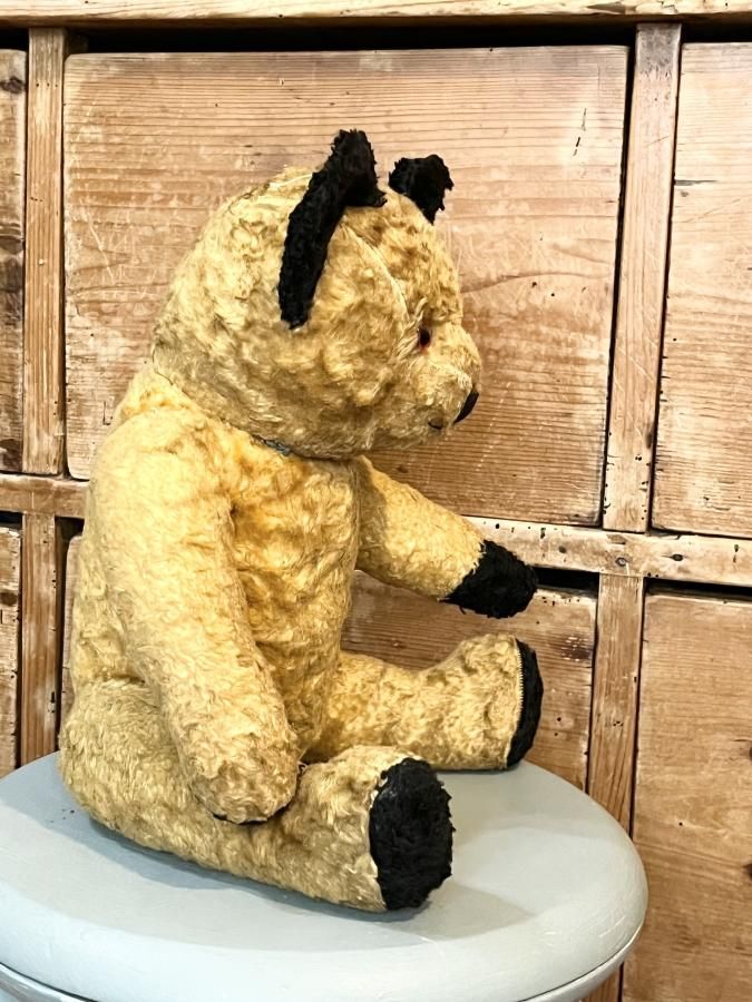 ヴィンテージスーティータイプベア - アンティークとテディベア