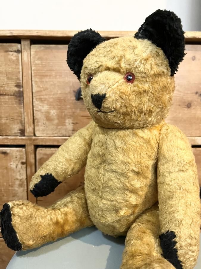 スーティー Sooty - アンティークとテディベアの店 Parade スーティー Sooty - アンティークとテディベアの店 Parade