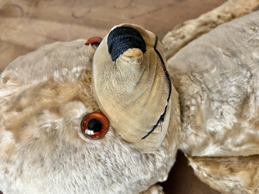 チーキーベア REGDタグ - アンティークとテディベアの店 Parade