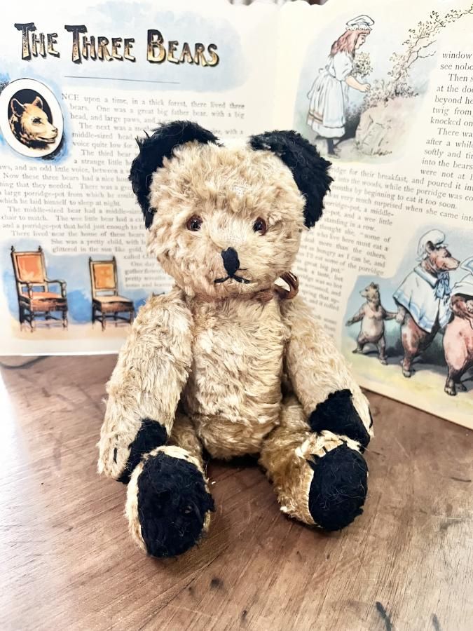 ⋆⑅˚₊ イギリス　ヴィンテージ テディベア　アンティークベア　⋆⑅˚₊ ヴィンテージ スーティーベア - アンティークとテディベアの店
