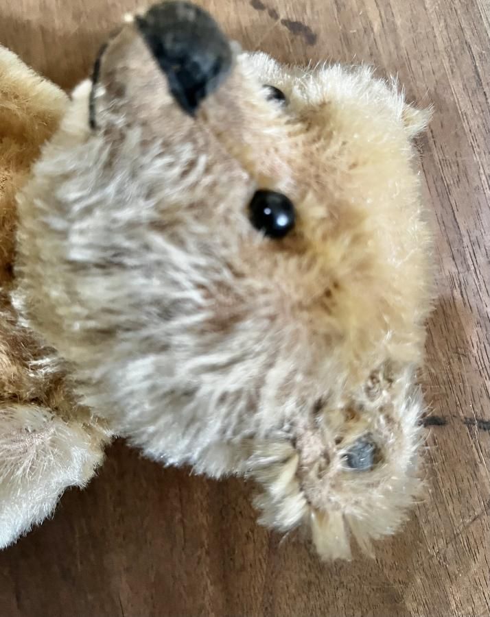 Steiff テディベア シュタイフ アンティークベア テディベイビー