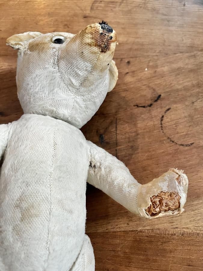 白いくまちゃん - アンティークとテディベアの店 Parade（パラード）