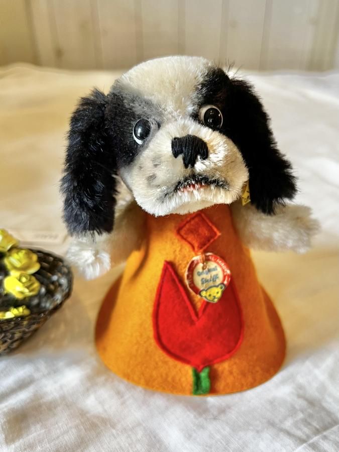 ドレスを着たCockie