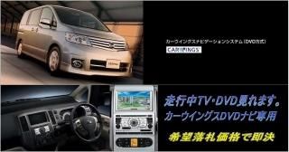  C25  DVDʥ TV󥻥顼 SERENA