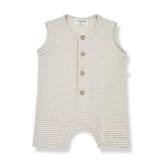 <img class='new_mark_img1' src='https://img.shop-pro.jp/img/new/icons14.gif' style='border:none;display:inline;margin:0px;padding:0px;width:auto;' />1+in the family   PINO  / clay ivory