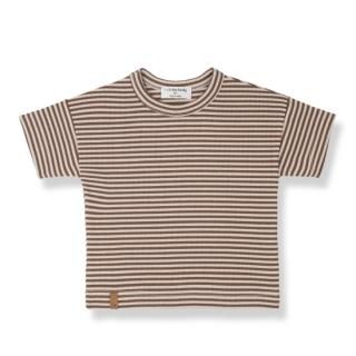 <img class='new_mark_img1' src='https://img.shop-pro.jp/img/new/icons14.gif' style='border:none;display:inline;margin:0px;padding:0px;width:auto;' />1+in the family   ARISTIDE  / Sienna 24m last one!