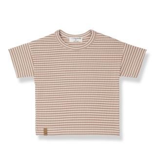 <img class='new_mark_img1' src='https://img.shop-pro.jp/img/new/icons14.gif' style='border:none;display:inline;margin:0px;padding:0px;width:auto;' />1+in the family   ARISTIDE  / apricot