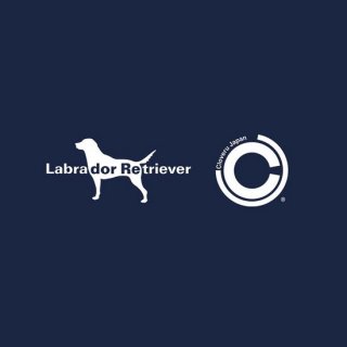 Labrador retriever with Cloveru WIDE HOOD<img class='new_mark_img2' src='https://img.shop-pro.jp/img/new/icons5.gif' style='border:none;display:inline;margin:0px;padding:0px;width:auto;' />