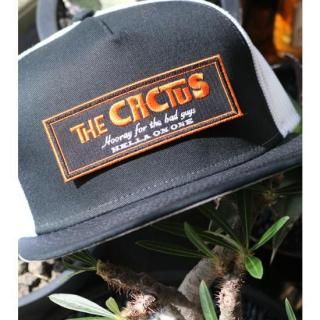 LOGO MESH CAP<img class='new_mark_img2' src='https://img.shop-pro.jp/img/new/icons5.gif' style='border:none;display:inline;margin:0px;padding:0px;width:auto;' />