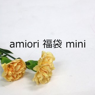 2019amiori福袋mini