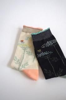 wild carrot<br>KURI BOTELLA