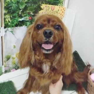 ϥ뤯