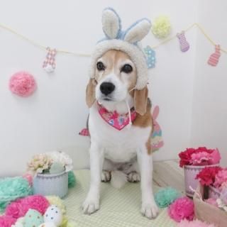 祳졼Ȥ