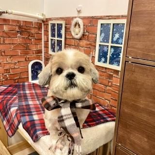 ペピカファミリー大宮宮原店 - ペットショップ ペピカ-動物病院、美容 ...