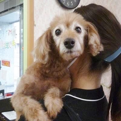 ペスちゃん ペットショップ ペピカ 動物病院 美容室 ペットホテル併設した総合ペットショップ ペスちゃん ペットショップ ペピカ 動物病院 美容室 ペットホテル併設した総合ペットショップ