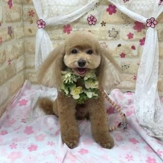 롼