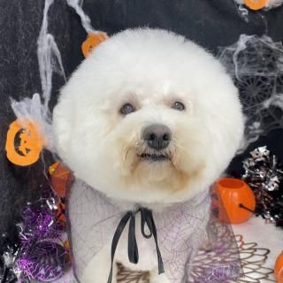 YUKI