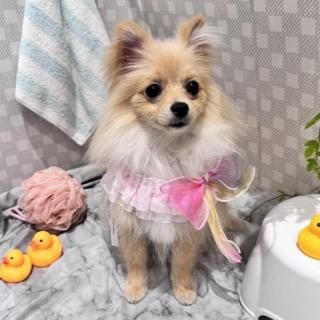 Mia