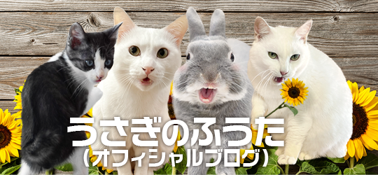 らびっとマーケット(うさぎのふうたオフィシャルショップ) らびっとマーケット(うさぎのふうたオフィシャルショップ)