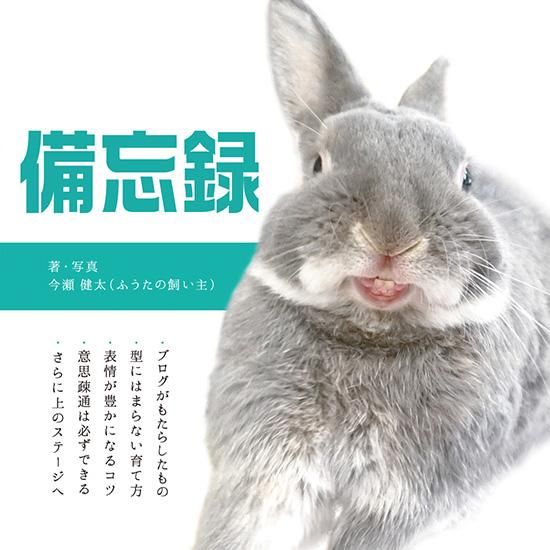 うさぎのふうた Book Vol 3 備忘録 通常配送 うさぎ雑貨専門店 らびっとマーケット