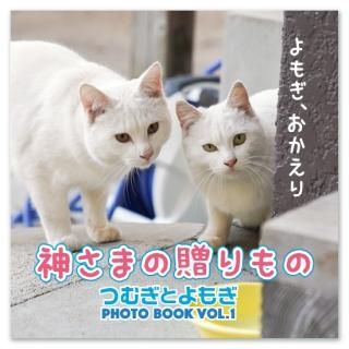 ĤPHOTO BOOK Vol.1 ֿޤ£Ρ̾