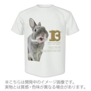 Τդ13ǯ˥ååȥTġʥʥ<img class='new_mark_img2' src='https://img.shop-pro.jp/img/new/icons65.gif' style='border:none;display:inline;margin:0px;padding:0px;width:auto;' />