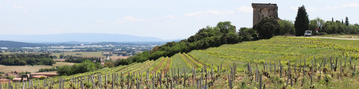 aVin -アヴァン- 南仏ワインの輸入、販売 ローヌ＆プロヴァンス Rhone&Provence