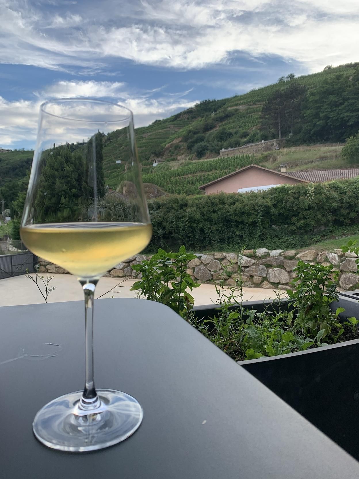 maison Stephan wine