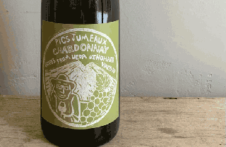 <img class='new_mark_img1' src='https://img.shop-pro.jp/img/new/icons14.gif' style='border:none;display:inline;margin:0px;padding:0px;width:auto;' />PIC JUMEAUX CHARDONNAY 2023 / ƺ