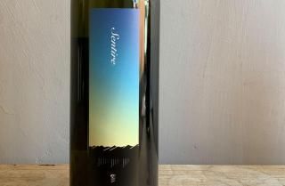 <img class='new_mark_img1' src='https://img.shop-pro.jp/img/new/icons14.gif' style='border:none;display:inline;margin:0px;padding:0px;width:auto;' />sentire 2024 / Js vineyard