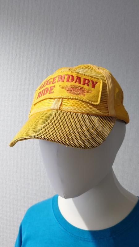 90s HARLEY DAVIDSON Legendary Ride ʥåץХå å奭å  ˹ (VINTAGE)