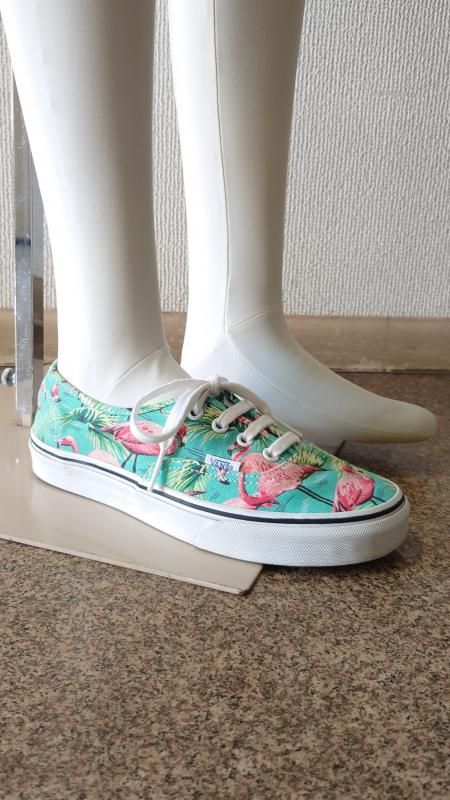 <img class='new_mark_img1' src='https://img.shop-pro.jp/img/new/icons6.gif' style='border:none;display:inline;margin:0px;padding:0px;width:auto;' />Vans Van Doren Authentic Flamingo US6 24cm (USED)