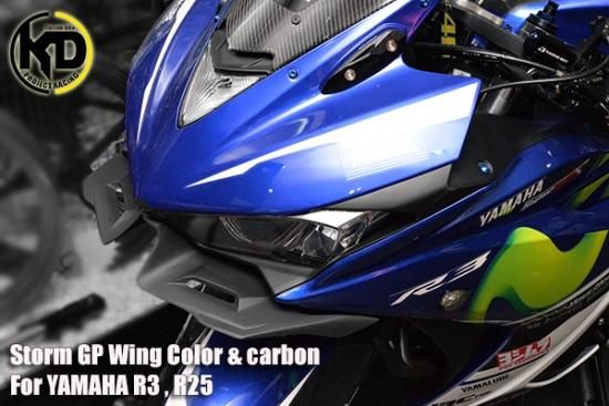 YZF-R25 アンダーカウル 左右 1WD ヤマハ 純正  バイク 部品 RG10J サイドカウル 割れ欠け無し 品薄 希少品 車検 Genuine:22216105