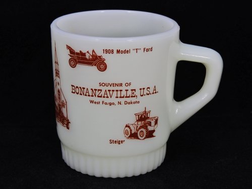 ե䡼 ɥޥ  BONANZAVILLE USA